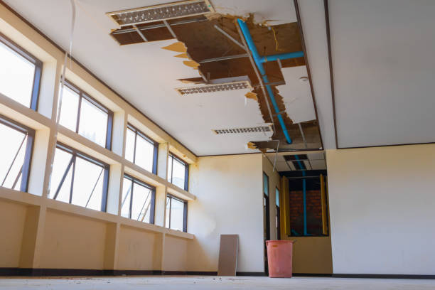 Best Flood damage cleanup  in Windsor, MO