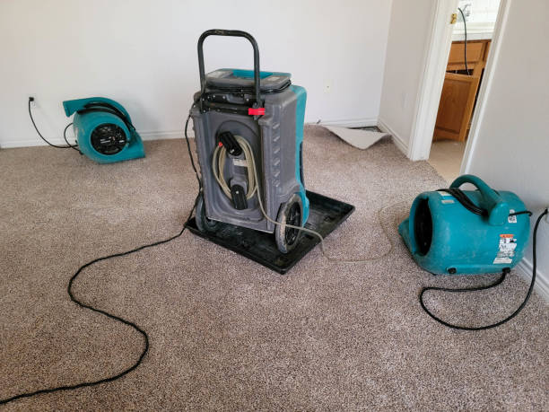Best Carpet water damage restoration  in Windsor, MO